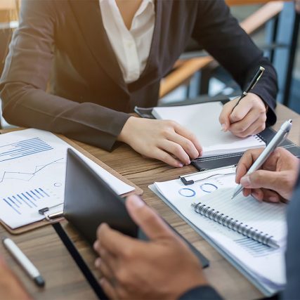 Consultanta in securitate Alpha Partner Security - Tg Mures