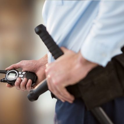 Agent de paza Alpha Partner Security - Tg Mures