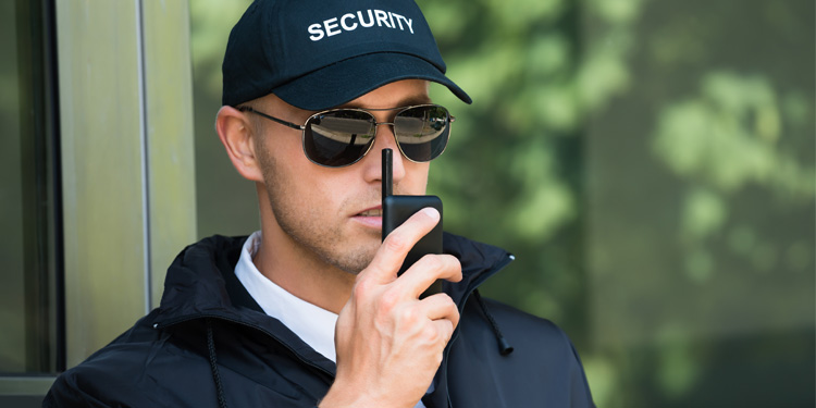 Compania Alpha Partner Security